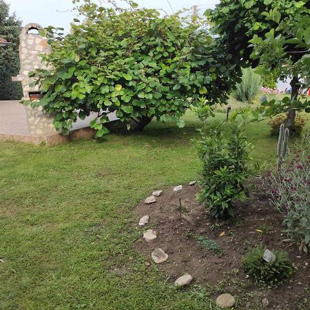 Guesthouse Oasis-Sabla Kültér fotó