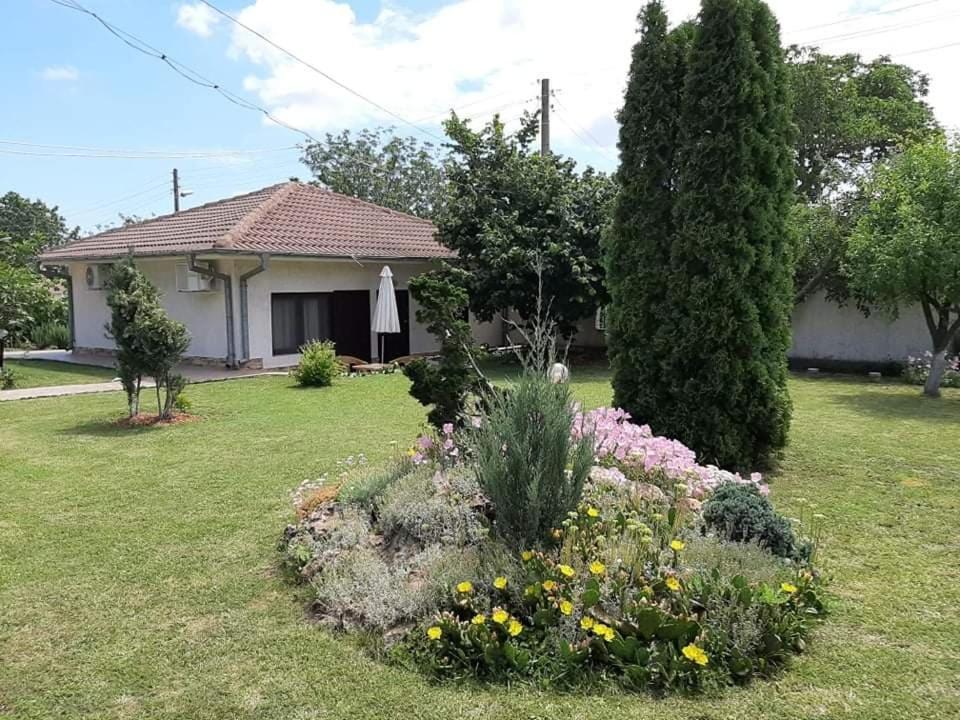 Guesthouse Oasis-Sabla Kültér fotó