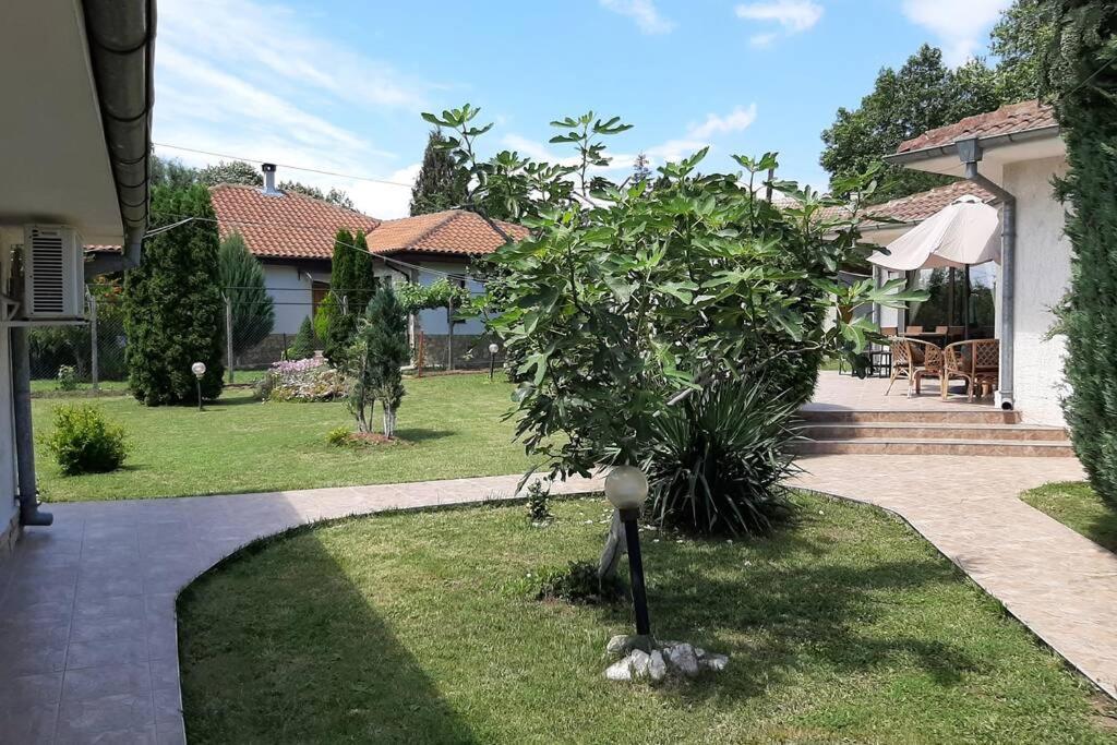 Guesthouse Oasis-Sabla Kültér fotó