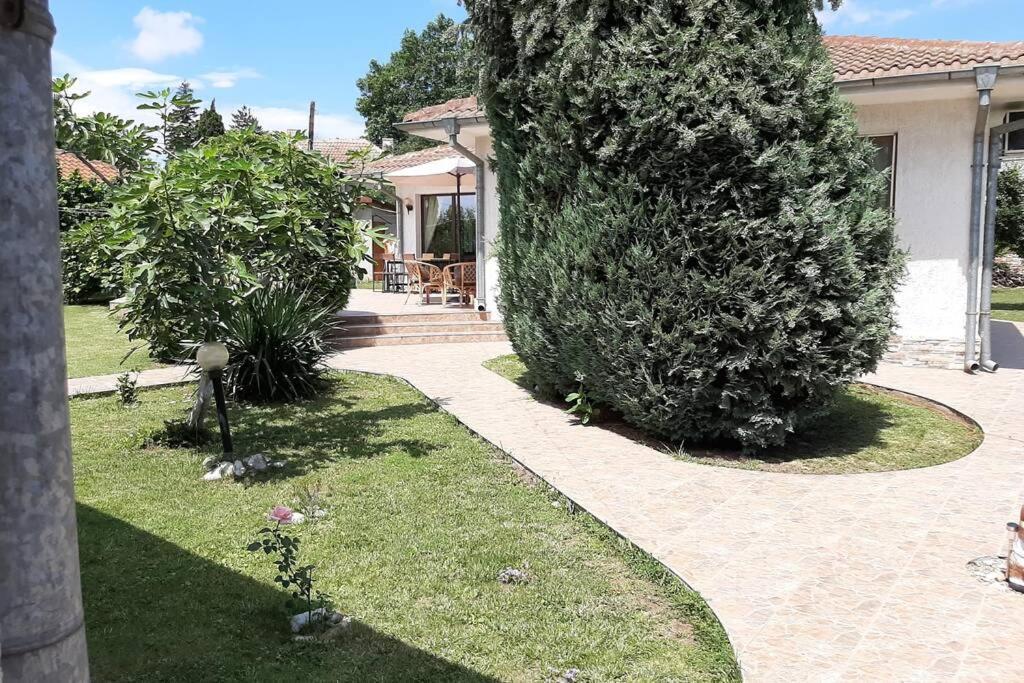 Guesthouse Oasis-Sabla Kültér fotó
