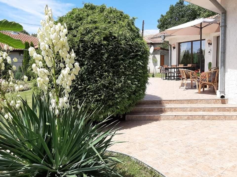 Guesthouse Oasis-Sabla Kültér fotó