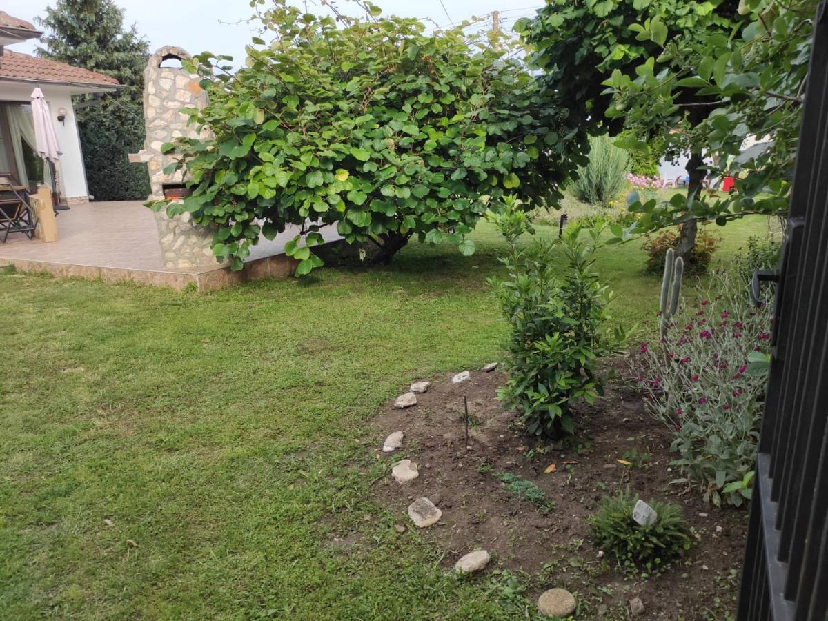 Guesthouse Oasis-Sabla Kültér fotó